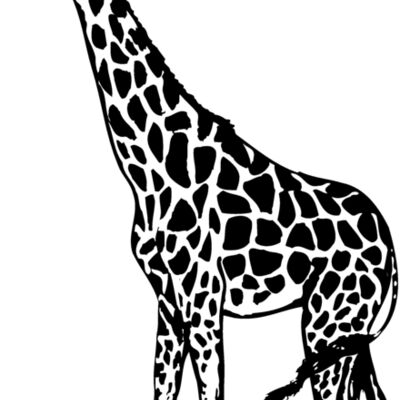 Giraffes Thumbnail