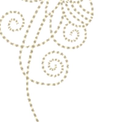 Butterflies Thumbnail